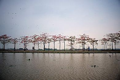 PS5 Pro国行版官宣：10月29日发售 双11活动价5099元